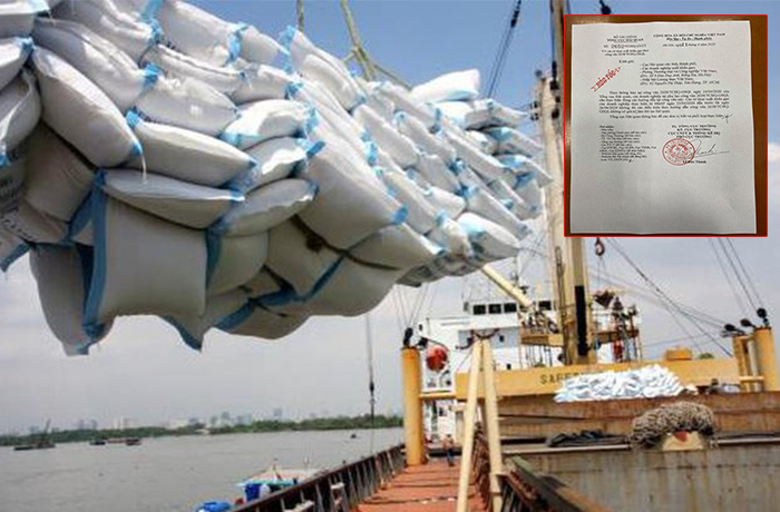 Xuất khẩu gạo: Phát hiện hàng loạt tờ khai không có giá trị - 1