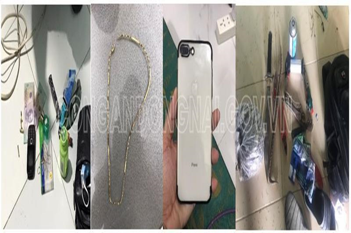 Chiếc mũ màu hồng tố cáo cặp 'song Hoàng' cầm súng khống chế, cướp tài sản - 2