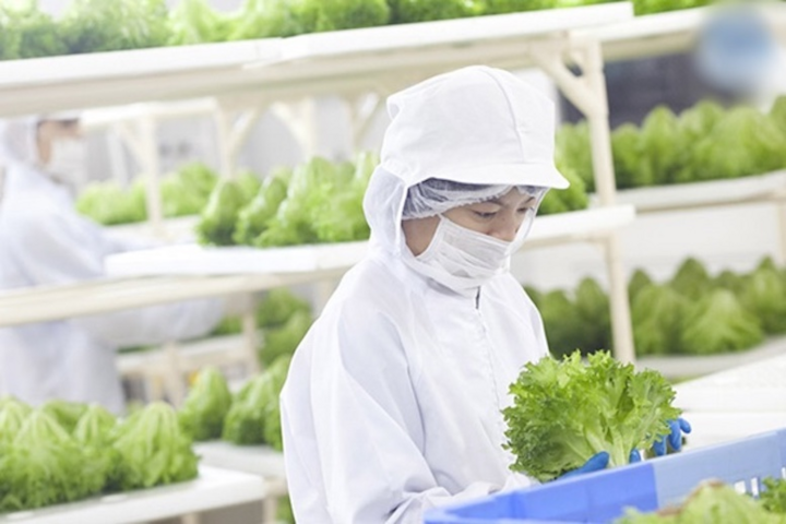 Những ngành học 'lên như diều gặp gió' sau COVID-19 - 1