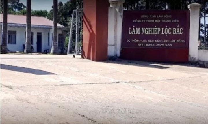 Khởi tố nguyên Giám đốc Sở NN-PTNT Lâm Đồng - 1