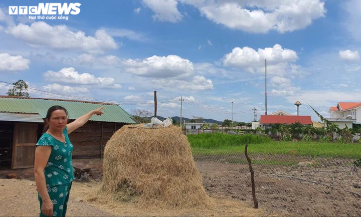 Bất cập trong việc mua sắm hàng loạt máy xử lý rác thải y tế tại Đắk Nông - 1