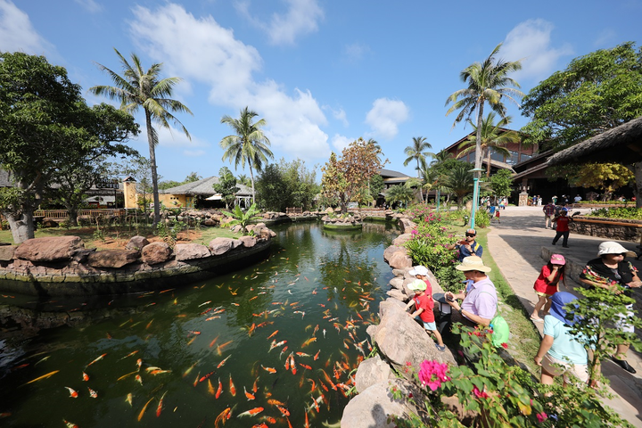 Phú Quốc: Sun World Hon Thom Nature Park đón khách trở lại từ 30/4 - 3