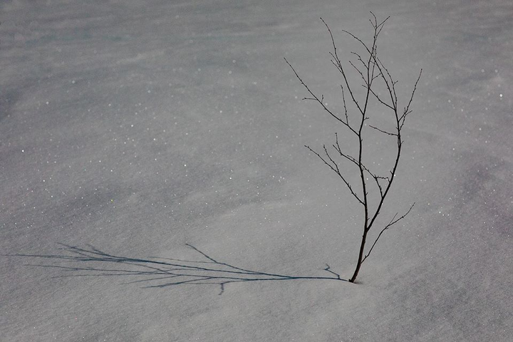 Kẹt ở Bắc Cực do COVID-19, phượt thủ Việt hằng ngày chăn tuần lộc - 3