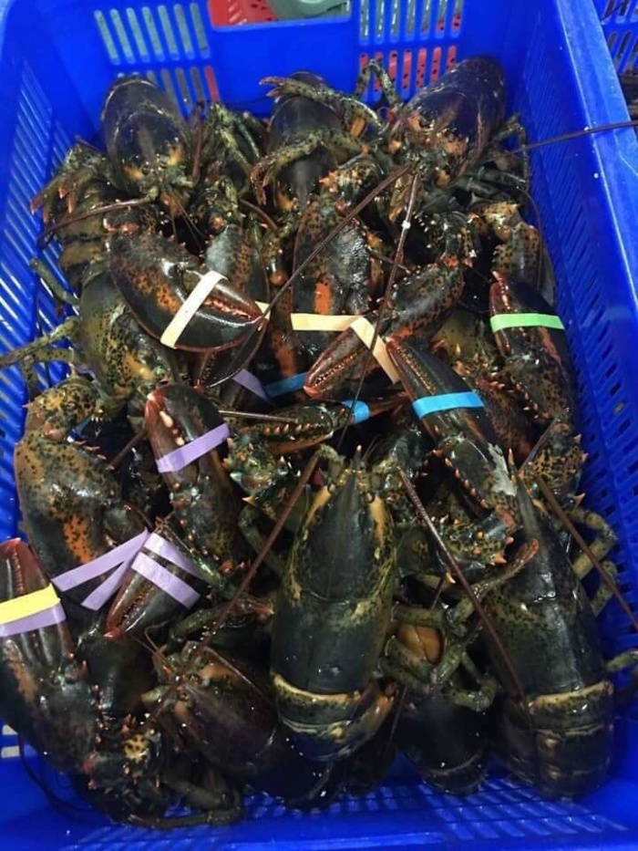 Cá hồi, tôm hùm ồ ạt giảm giá dịp nghỉ lễ 30/4-1/5 - 2