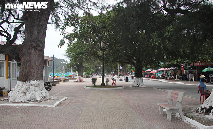 Rác thải 'bức tử' bãi tắm Đồ Sơn trong dịp nghỉ lễ 30/4-1/5 - 11