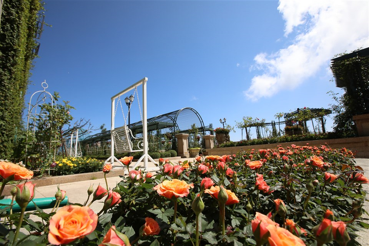 Du khách hào hứng trong ngày đầu Bà Nà Hills đón khách trở lại - 8