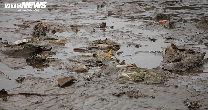 Rác thải 'bức tử' bãi tắm Đồ Sơn trong dịp nghỉ lễ 30/4-1/5 - 8