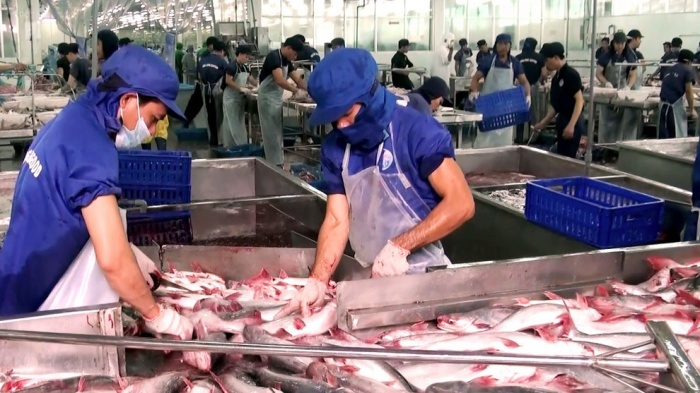 Mỹ áp thuế chống bán phá giá cá tra-basa Việt Nam về mức 0,15 USD/kg - 1