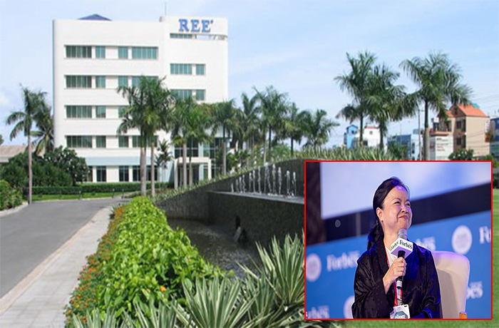 REE của ‘nữ tướng’ Nguyễn Thị Mai Thanh: Lãi giảm sâu, vốn hoá bốc hơi 1.400 tỷ - 1