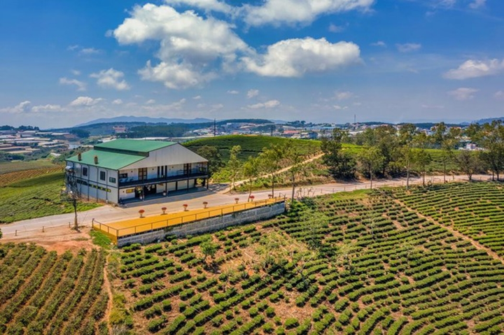 Đà Lạt trước và trong kỳ nghỉ lễ 30/4-1/5 khác thế nào? - 21