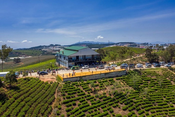 Đà Lạt trước và trong kỳ nghỉ lễ 30/4-1/5 khác thế nào? - 22