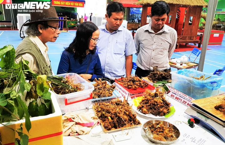 Sau 1 tháng tạm hoãn vì dịch COVID-19, chợ sâm lần thứ 31 thu về 3,8 tỷ đồng - 1