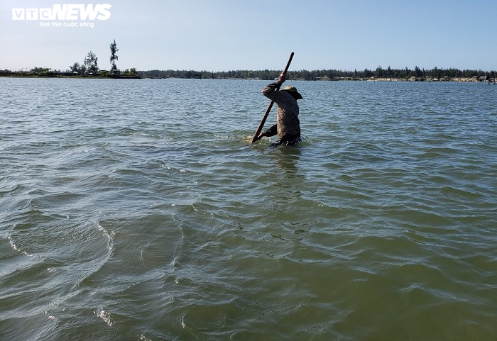 Ảnh: Hàng chục tấn nghêu chết la liệt trên sông Trường Giang - 7