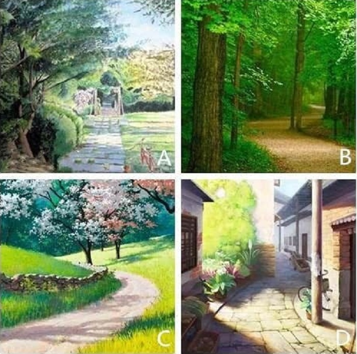 Chọn con đường mòn yêu thích nhất để biết năng lực làm việc của bạn - 1