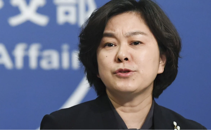 Trung Quốc sẽ hợp tác với WHO điều tra nguồn gốc COVID-19 - 1