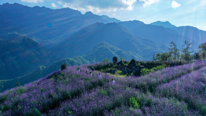 Sa Pa hấp dẫn du khách nhờ doanh nghiệp giảm giá dịch vụ, kích cầu du lịch - 4