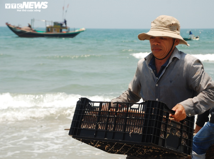 Bất ngờ trúng đậm ruốc đỏ cuối mùa, ngư dân Quảng Nam bỏ túi bạc triệu mỗi ngày - 3