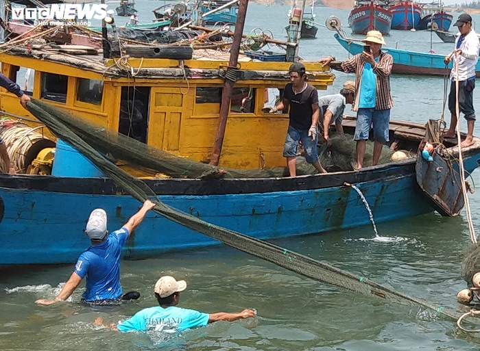 Lật ghe khiến 5 người mất tích: ‘Cần có chế tài xử phạt nặng hơn’ - 3