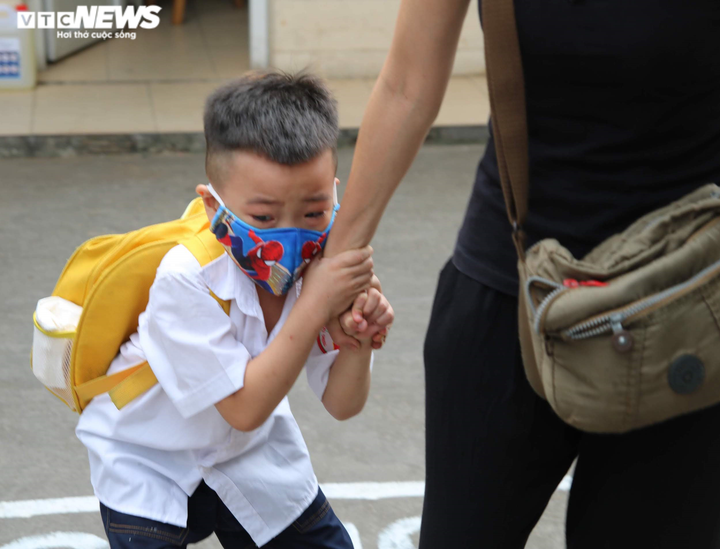 Đi học lại, học sinh khóc nức nở níu tay mẹ không muốn vào lớp - 4