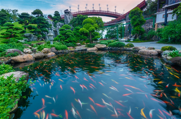 Đi Hạ Long tiện đủ đường, giá vé chơi công viên nước chỉ 200K - 3