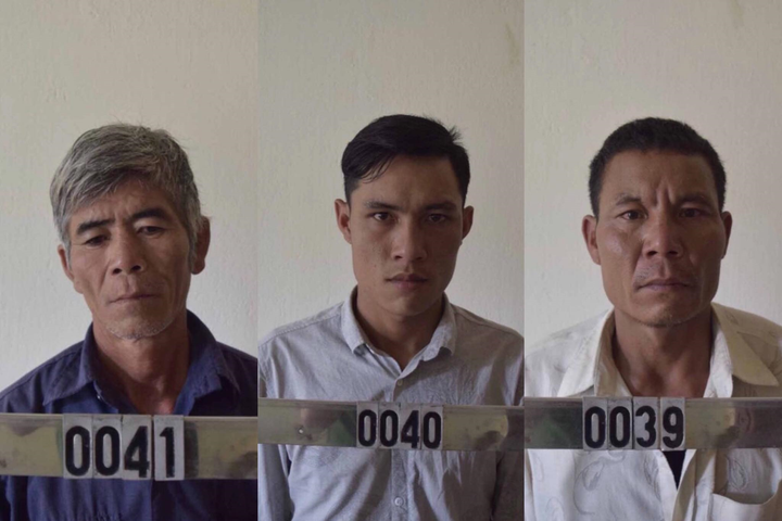 Khởi tố nhóm người khai thác gỗ trái phép ở Gia Lai - 1