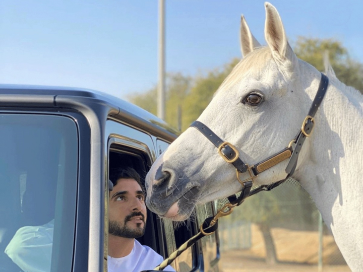 Vẻ đẹp làm tan chảy trái tim phụ nữ của thái tử Dubai - 5