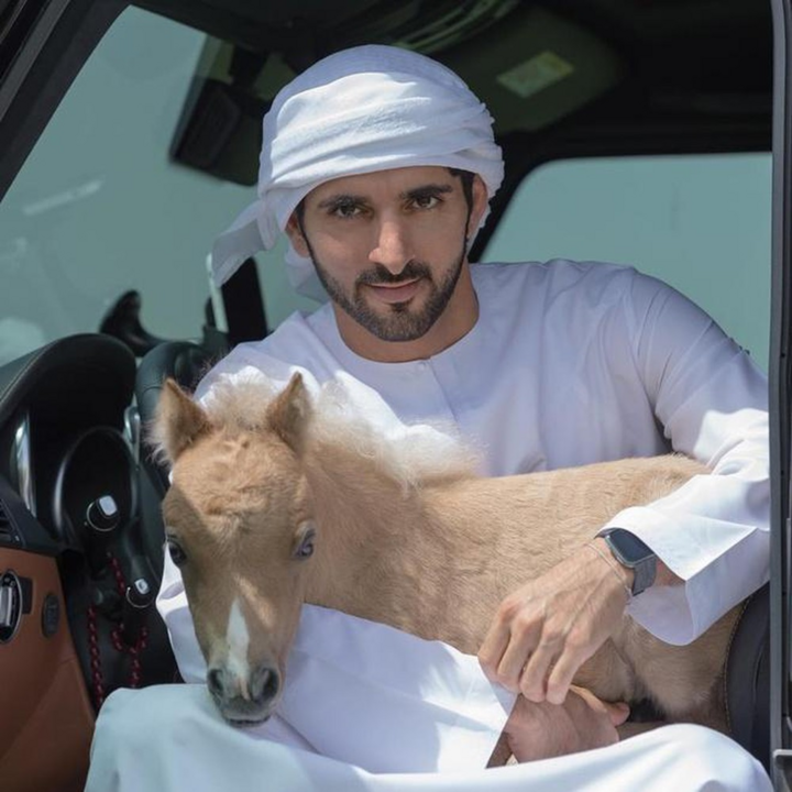 Vẻ đẹp làm tan chảy trái tim phụ nữ của thái tử Dubai - 8
