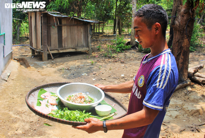 Độc đáo nghề săn kiến vàng ở Tây Nguyên - 3