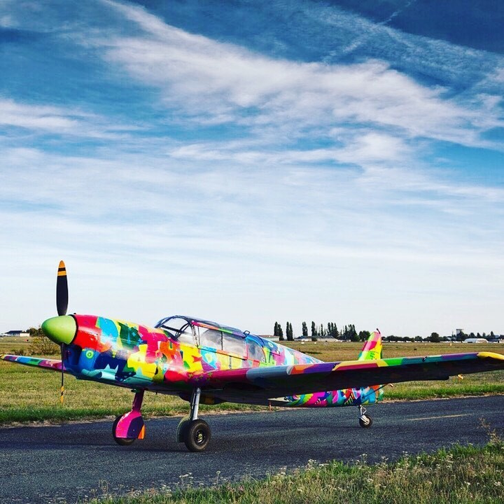 Nghệ sĩ gốc Việt tôn vinh các y bác sĩ giữa đại dịch COVID-19 - 4