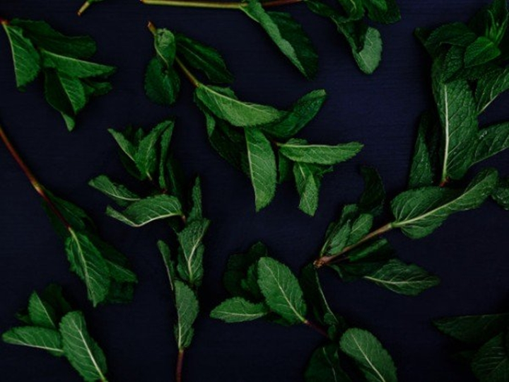 9 thực phẩm giúp giải nhiệt cơ thể trong mùa hè - 4