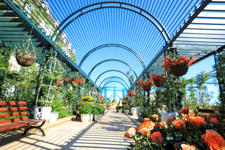 Chơi đã đời, ăn thỏa thích chỉ với một tấm vé, Bà Nà Hills ngay chứ còn gì - 4