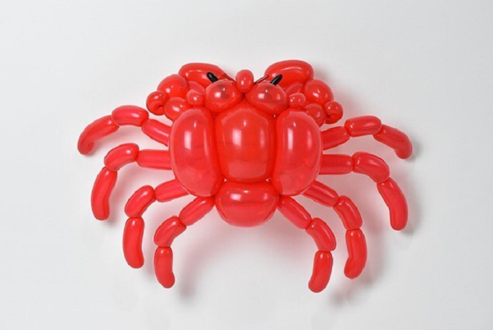 Biến hình bóng bay thành động vật, nghệ sĩ Nhật khiến dân mạng ngỡ ngàng - 6