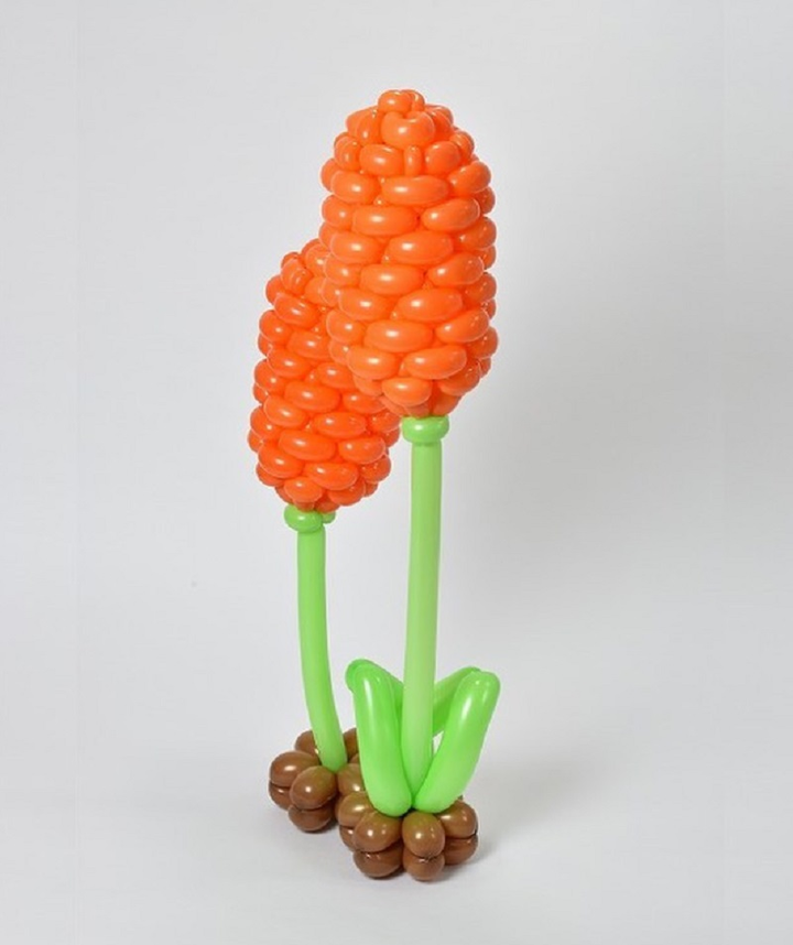 Biến hình bóng bay thành động vật, nghệ sĩ Nhật khiến dân mạng ngỡ ngàng - 7