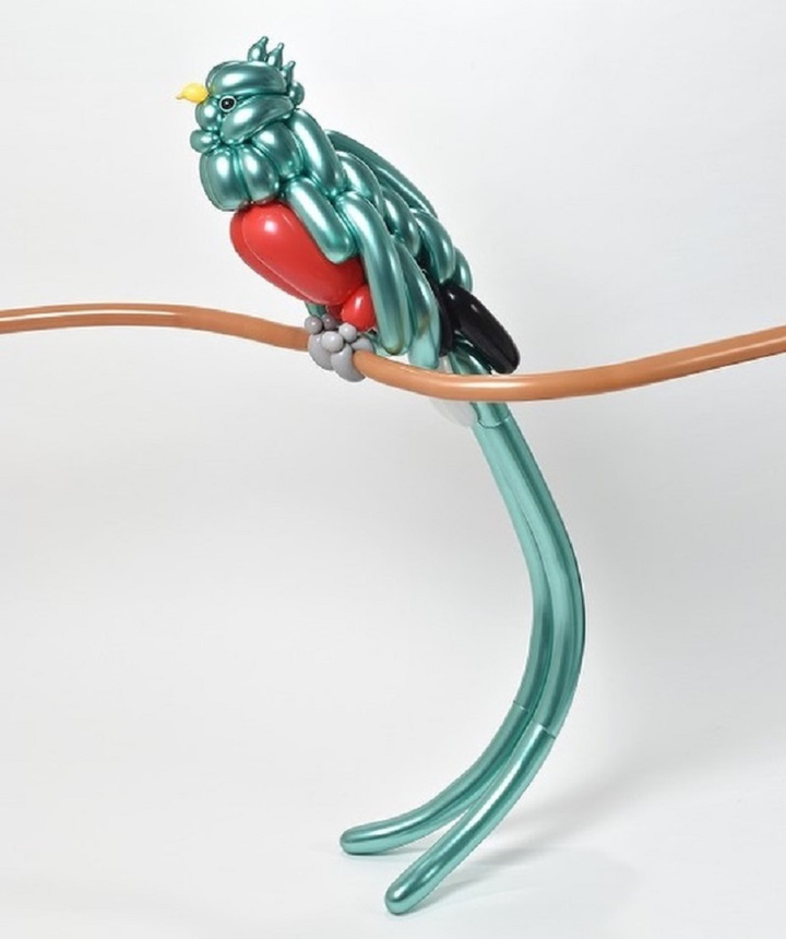 Biến hình bóng bay thành động vật, nghệ sĩ Nhật khiến dân mạng ngỡ ngàng - 13