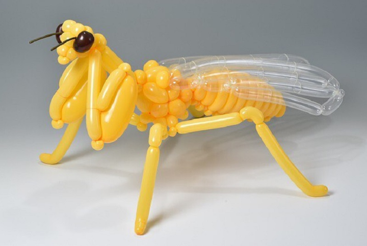 Biến hình bóng bay thành động vật, nghệ sĩ Nhật khiến dân mạng ngỡ ngàng - 5