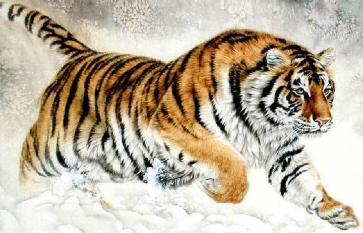 Tử vi 12 con giáp ngày 18/5: Tuổi Ngọ rủng rỉnh tài chính - 1