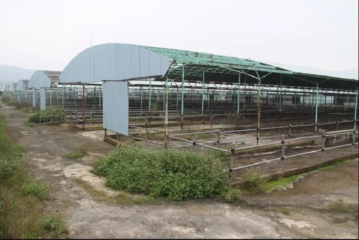 Truy tố 12 đồng phạm của ông Trần Bắc Hà - 1
