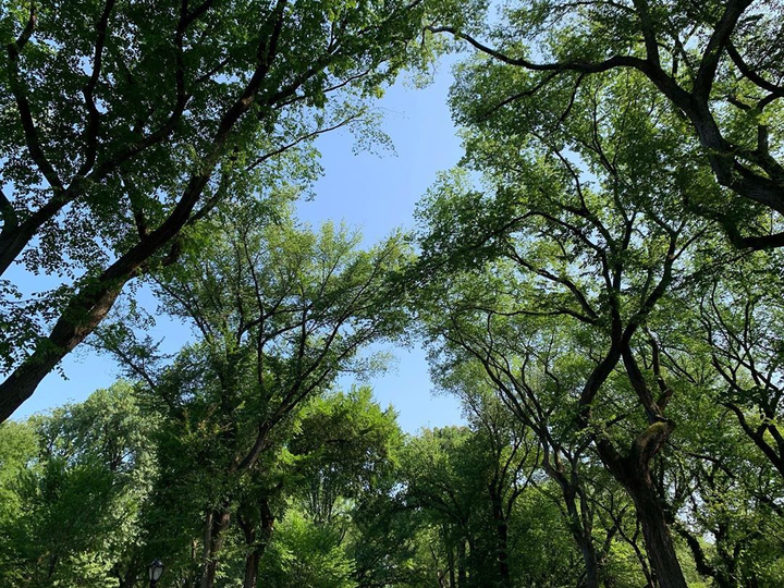 6 bằng chứng quan trọng khẳng định Song Hye Kyo và Hyun Bin tái hợp - 4