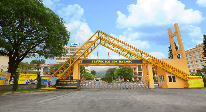 Chủ tịch tỉnh kiêm hiệu trưởng Đại học Hạ Long: Quảng Ninh khẳng định đúng luật - 1