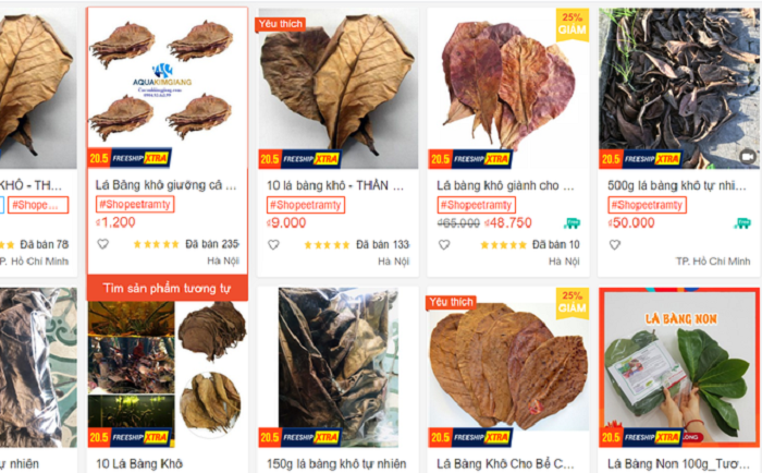 Chuyện thật như đùa: Lá bàng khô gây sốt 'chợ mạng', 1.000 đồng/lá - 1