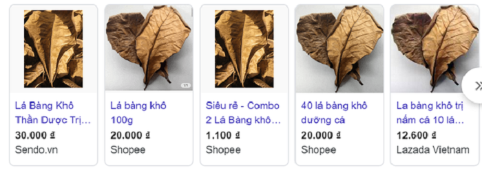 Chuyện thật như đùa: Lá bàng khô gây sốt 'chợ mạng', 1.000 đồng/lá - 2