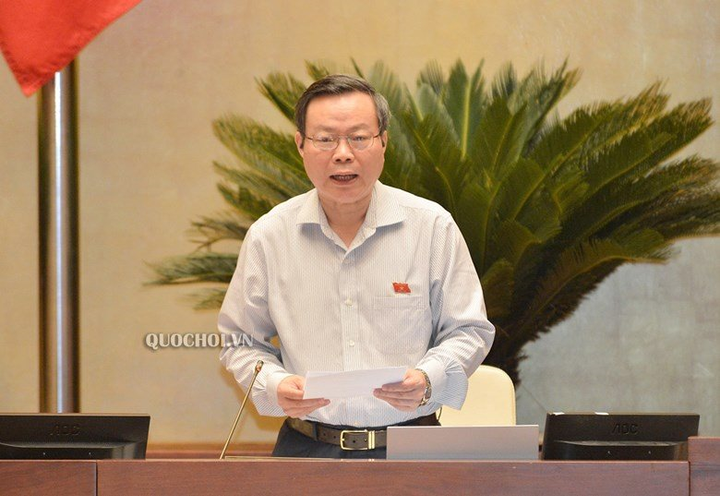 Đại biểu Quốc hội tranh luận quy định 'thế nào là doanh nghiệp nhà nước'? - 2