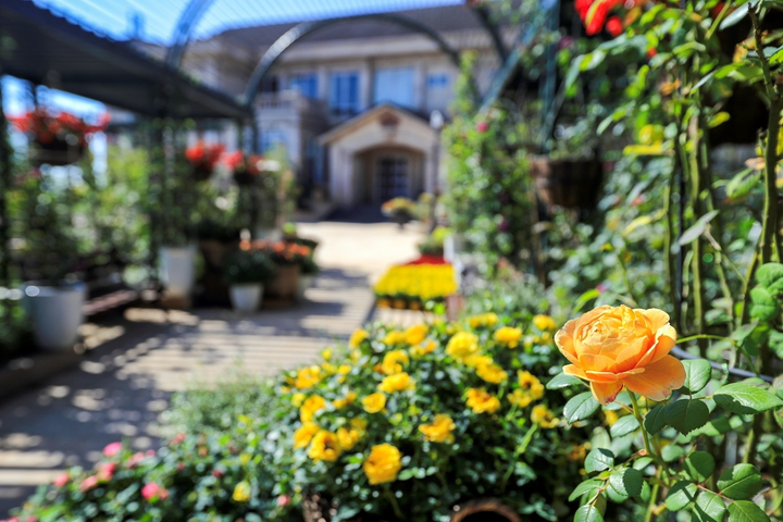 Làm sao khám phá hết Bà Nà siêu to, siêu khổng lồ chỉ trong 1 ngày? - 8