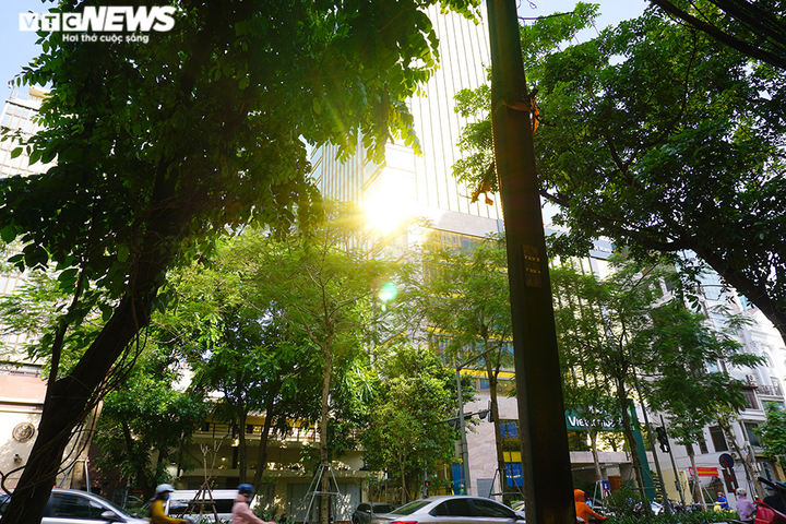 Cao ốc dát vàng gây chói mắt giữa mùa hè ở Hà Nội - 5
