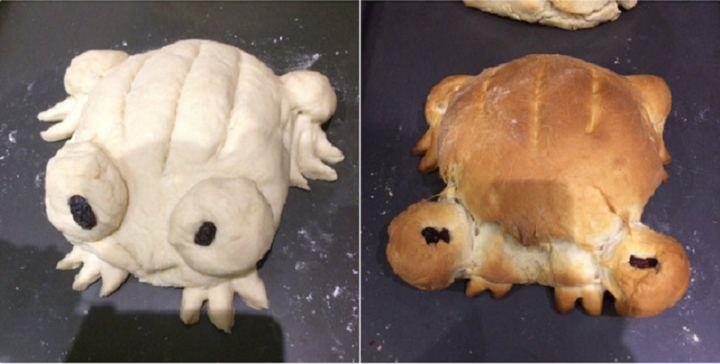 Bắt trend nướng bánh mỳ ếch, dân mạng đua nhau khoe kết quả thảm họa - 4