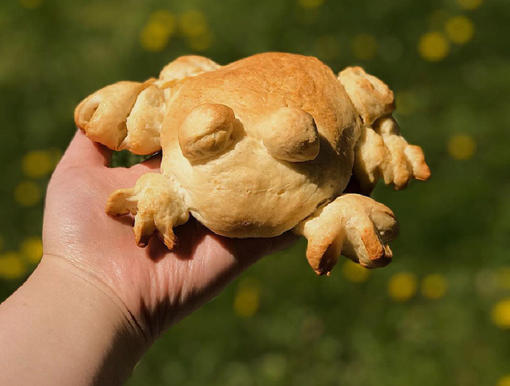 Bắt trend nướng bánh mỳ ếch, dân mạng đua nhau khoe kết quả thảm họa - 5