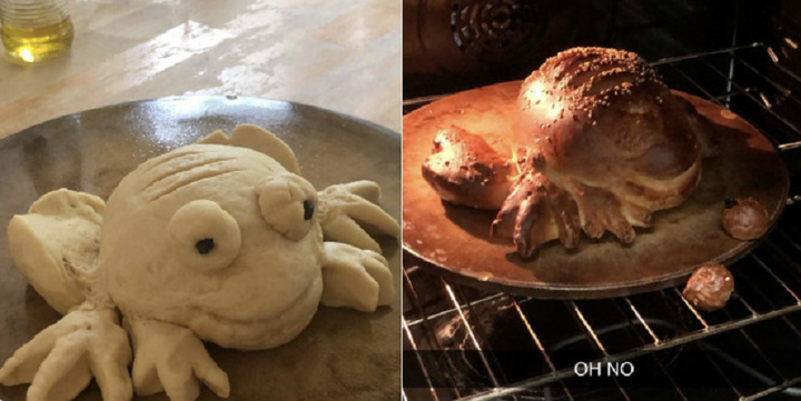 Bắt trend nướng bánh mỳ ếch, dân mạng đua nhau khoe kết quả thảm họa - 7