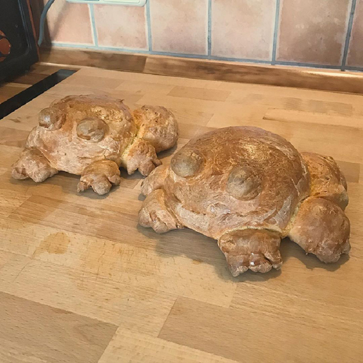 Bắt trend nướng bánh mỳ ếch, dân mạng đua nhau khoe kết quả thảm họa - 10