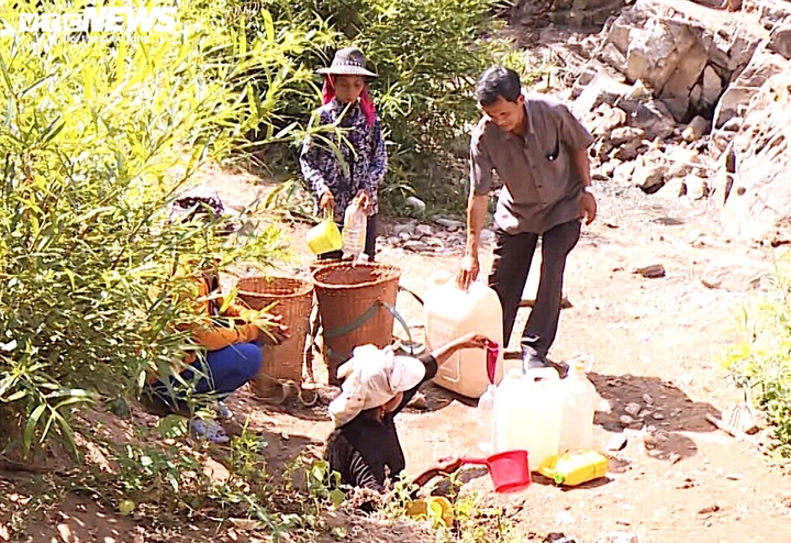 Hạn kinh hoàng, người Gia Lai mót từng giọt nước đục ngầu từ hố trũng về ăn - 4
