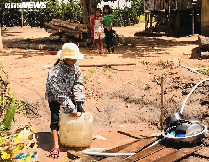 Hạn kinh hoàng, người Gia Lai mót từng giọt nước đục ngầu từ hố trũng về ăn - 1